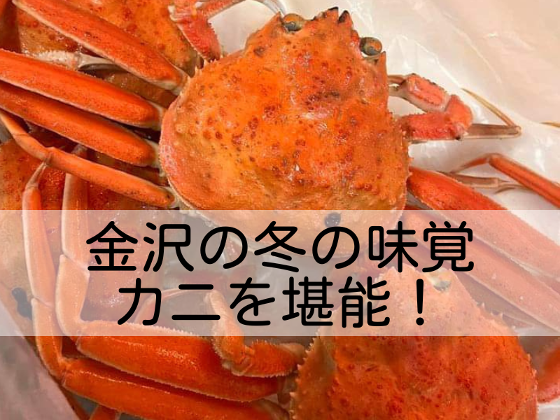 【近江町市場と武蔵】冬の金沢の味「カニ」を楽しむ