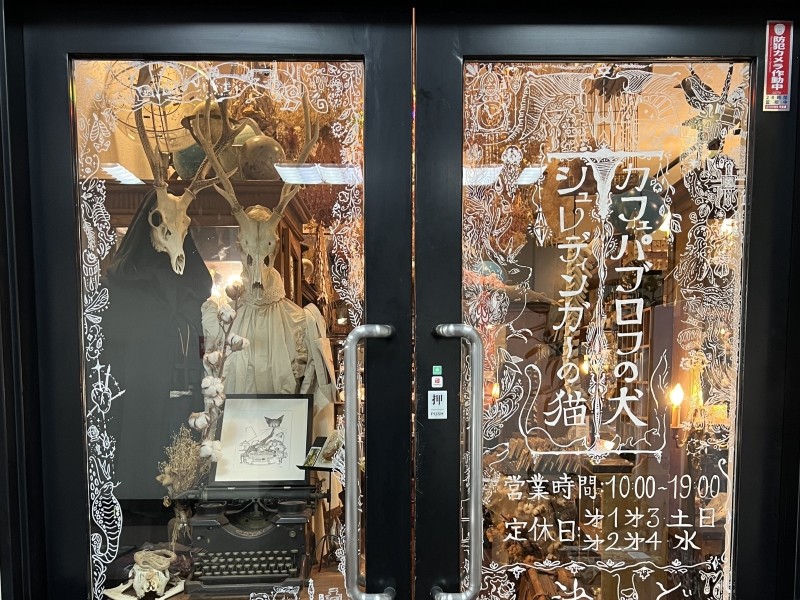 【16：05】金沢の不思議な雑貨屋さん「シュレディンガーの猫」でハロウィンを盛り上げる雑貨を探す