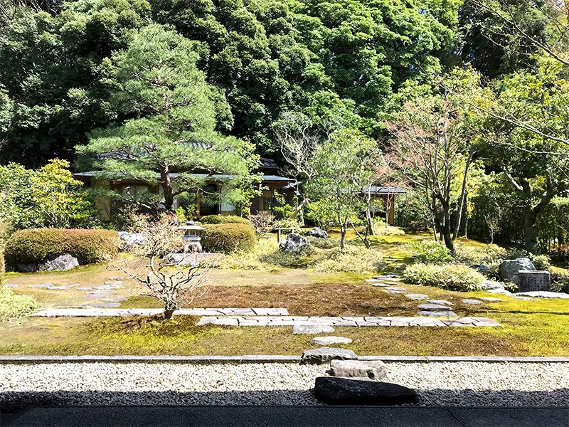 【１１：１０】中村記念美術館で庭を眺めながら抹茶をいただく