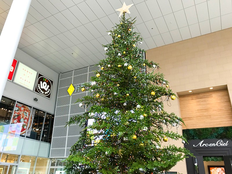 【１３：００】片町きららの巨大クリスマスツリー